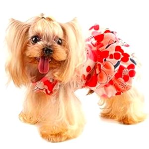 Floral cuteness overload